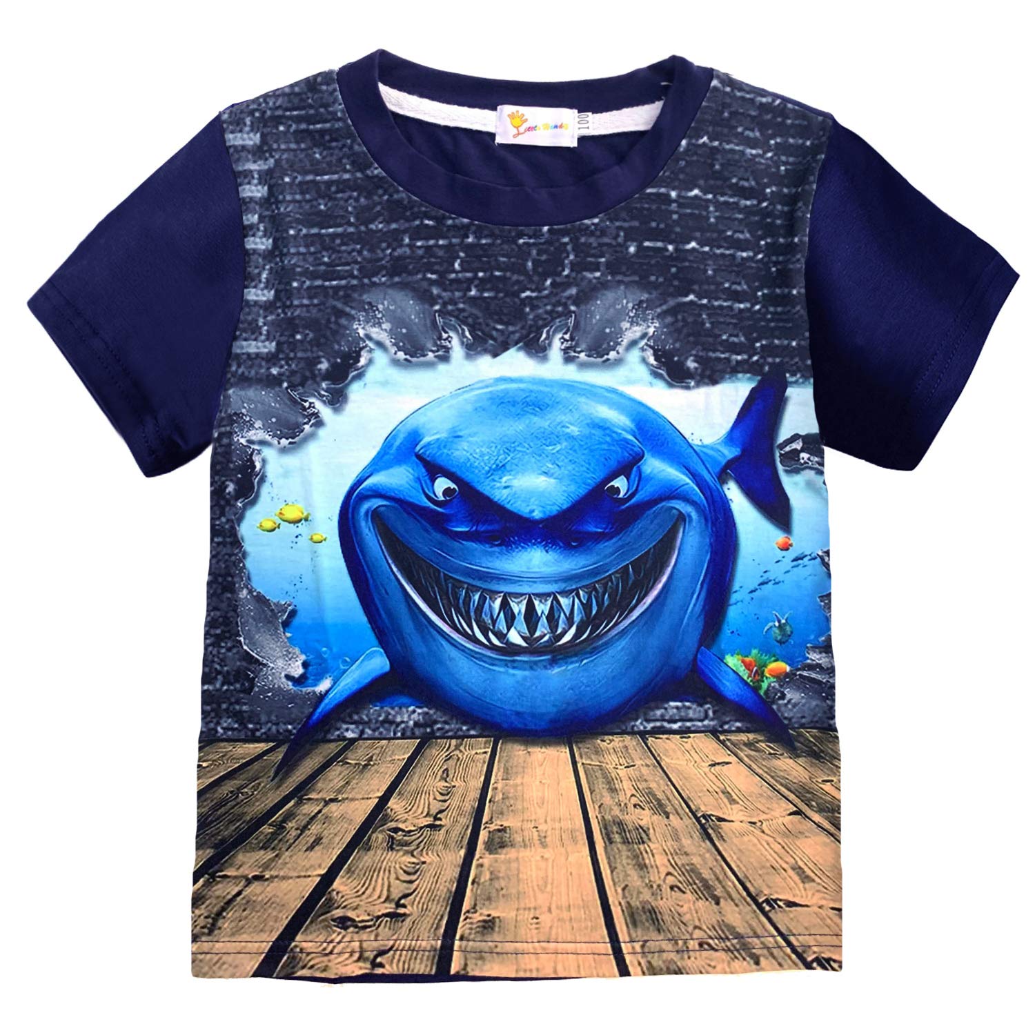 Little Hand Boys Dinosaur Short Sleeve T-Shirt Graphic Cotton Tops Tees for Size 3-7T