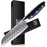 FANTECK Santoku Knife 5 Inch Damascus Japanese Steel Kitchen Knife,VG10 67-Layer High Carbon Full Tang Best Chef Santoku knives for Pro Chef&Restaurant, Blue G10 Handle,Gift Box&Sheath