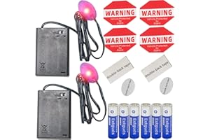 EXTGUDS Fake Car Alarm, Dummy Car Alarm,(Batteries Included) Red LED Light Simulate Imitation Security System, Warning Anti-Theft Flash Blinking Lamp (Light-Sensing-Red Light-2 Pack)