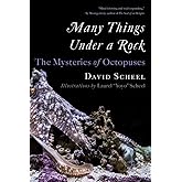 Many Things Under a Rock: The Mysteries of Octopuses