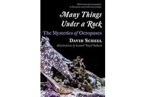 Many Things Under a Rock: The Mysteries of Octopuses