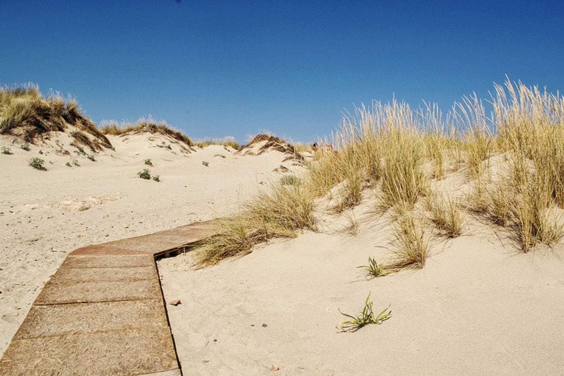 ING Wall Art Print on Canvas(32x21 inches)- Path Road Unknown Sand Dessert Beach Nature