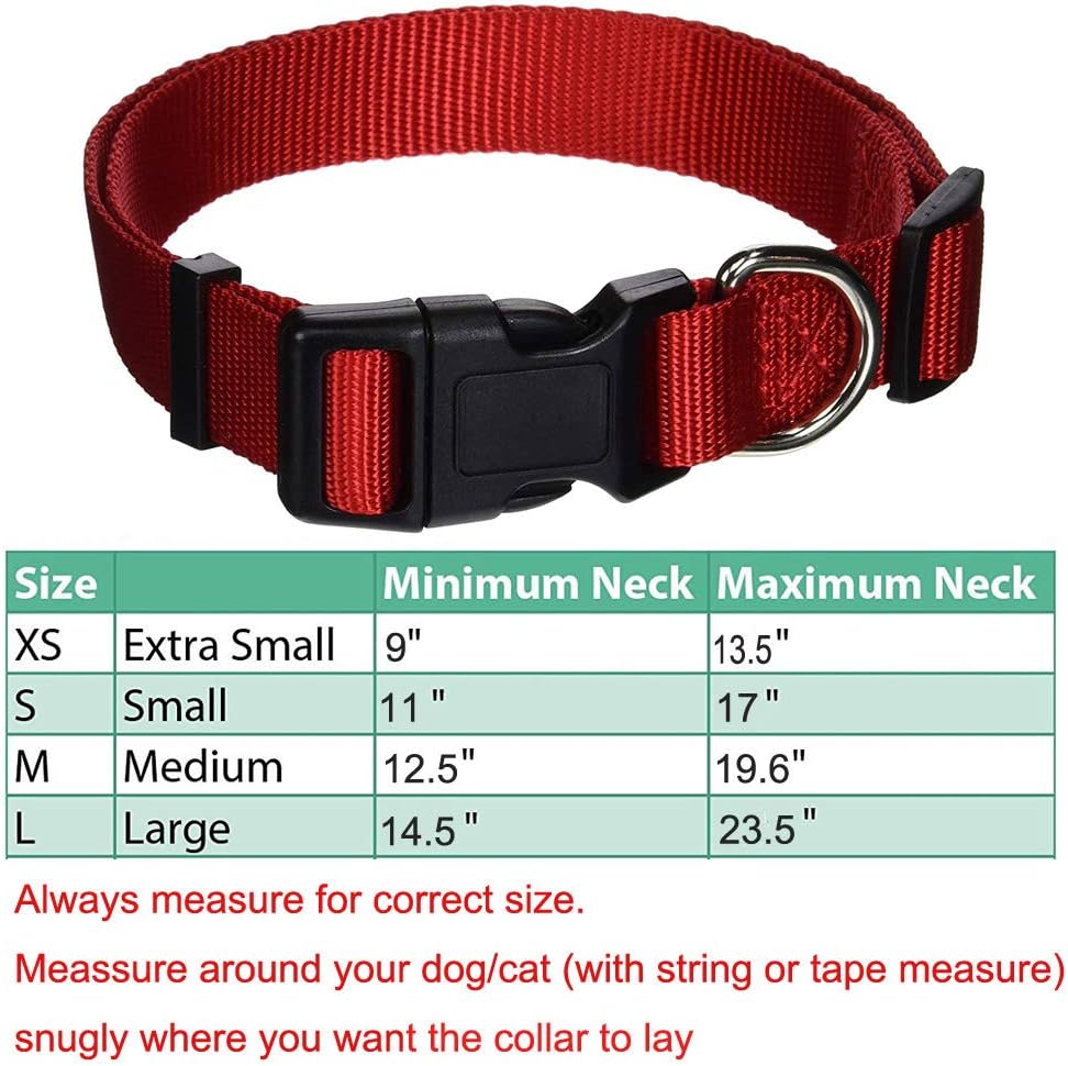 AEDILYS Adjustable Nylon Dog Collar Classic Solid Colors for Small Sized Dogs Neck, Multicolor: Sports & Outdoors
