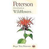 Pfg To Wildflowers Of Northeastern And North-Central North America (Peterson First Guide)