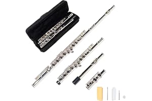 LeSage C Flutes Closed Hole 16 Key Silver Flute for Beginner Starter Student School Band with Case