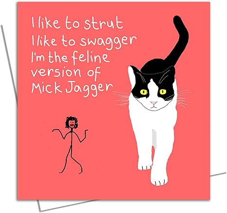 Fly Cruncher Biglietto Di Compleanno Marito Moglie Partner Fidanzati Simpatico Gatto Poesia Friend Per Lui Lei Amazon It Cancelleria E Prodotti Per Ufficio