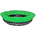 Bissell BigGreen Commercial 237.057BG Scrub Brush, 0.015" Bristle Diameter Crimped Polypropylene for BGEM9000 Easy Motion Floor Machine, 12", Green