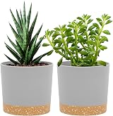 QCQHDU Plant Pot 12.7cm 2 Pack with Drainage Holes & Saucer Light Grey