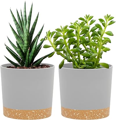 QCQHDU Plant Pot 12.7cm 2 Pack with Drainage Holes & Saucer Light Grey
