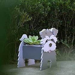 Gochoi Schnauzer Gifts: Cute Dog Flower