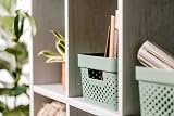 Curver Infinity Dots Set of 4 Rectangular Storage Boxes 4.5L Green view 3
