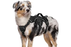 rabbitgoo Escape Proof Dog Harness, Soft Padded Full Body Pet Harness, Reflective Adjustable No Pull Vest with Lift Handle and Leash Clip for Large Dogs Walking Hiking Training, M, Black