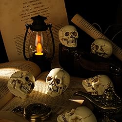 READAEER Resin Skull 4 pcs/Set, Mini Skull Model