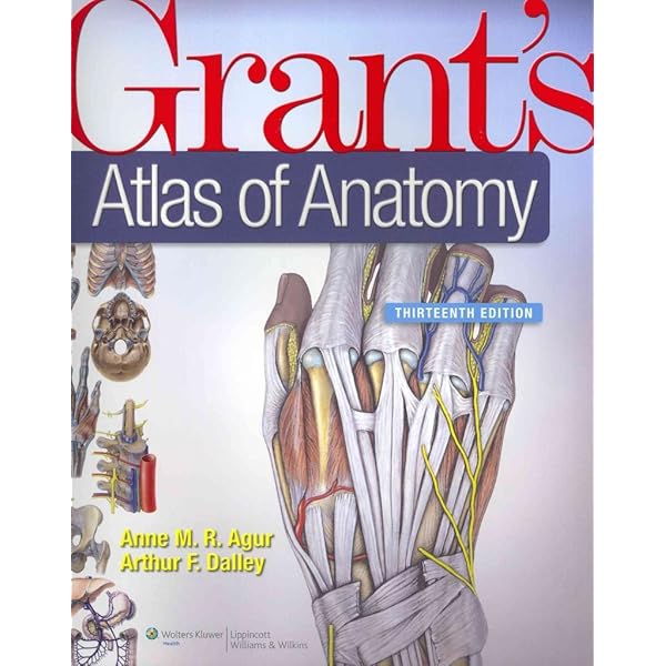 健康・医学 Grant's ATLAS OF ANATOMY Grant's Atlas of Anatomy, 13th Edition [Paperback]: Anne M. R.