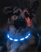 Joytale Light Up Dog Collar Blue USB Type-C Rechargeable LED collar view 3