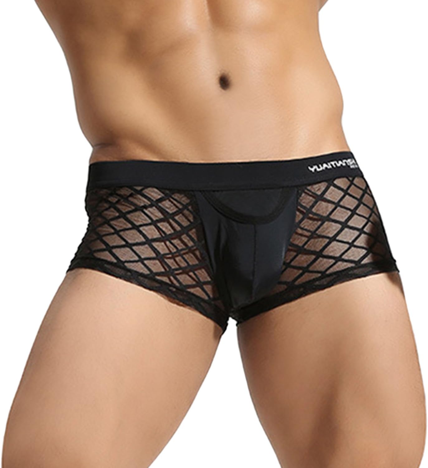 Men's Sexy Lingerie Mesh Transparent Boxer Briefs Underwear Panties