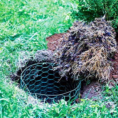 Garden Zone 24inx25ft 1in Green Vinyl Poultry Netting