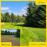 Boston Seeds Fast Growing Grass Seed 20kg Hard Wearing Lawn Seed view 2