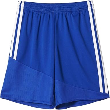 regista 16 shorts