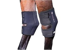 Professional's Choice Theramic Hock Boots | May Help to Increase Blood Circulation, Reduce Inflammation and Ease Pain |Sold in Pairs | Small, Medium, Large