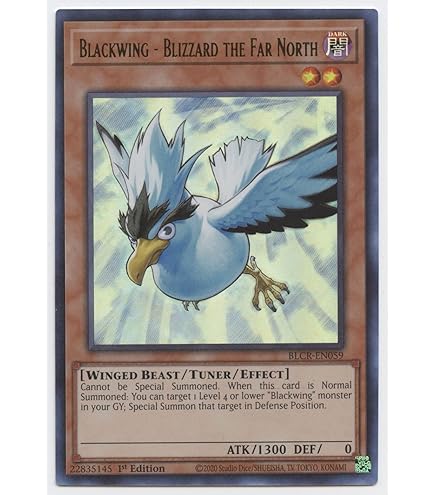 Amazon.com: Complete Custom Deck for Yu-Gi-Oh! 5D's