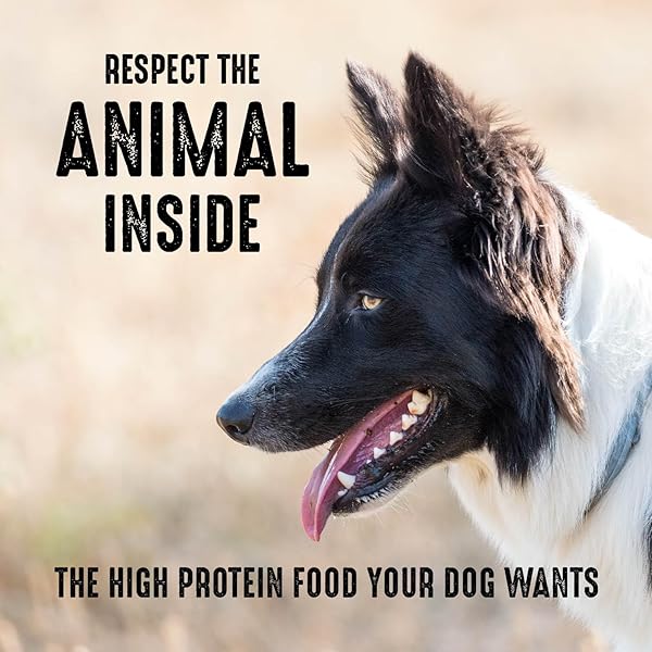 CRAVE GRAIN FREE HIGH PROTEIN ADULT DRY DOG FOOD, CHICKEN, 4 LB. BAG
