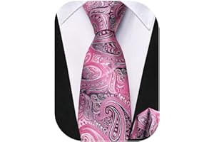 Hi-Tie Boys Ties Self Tie Silk Striped Kids Necktie and Pocket Square Set Paisley Boys Tie for Age 8-11 Wedding