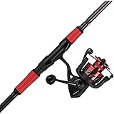 Amazon Com Penn Fierce Ii Fierce Iii Spinning Reel And Fishing Rod Combos All Models Sizes Sports Outdoors