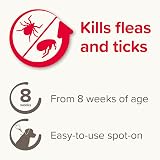 Beaphar FIPROtec Spot-On Medium Dogs 10-20kg 1 Pipette Flea Tick view 3