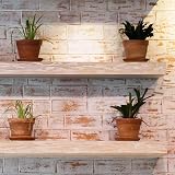 QWORK 4 Pcs Floating Shelf Brackets 3 Inch 75mm Heavy Duty Hidden Mounting view 4