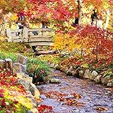 Image de Japanese Garden (170159)
