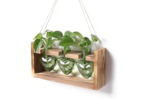 RCXsigns Plant Terrarium Unique Birthday Gift for Women Wall Planters for Indoor Hydroponic Plant Propagation Stations Heart Shaped Glass Vase with Wooden Stand