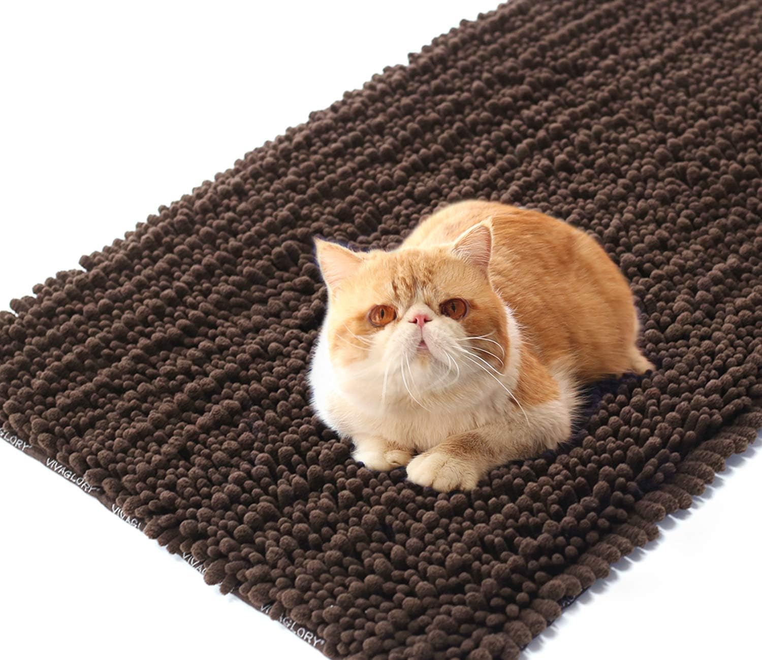 Best how to clean cat poop off carpet 10 Best Home Product