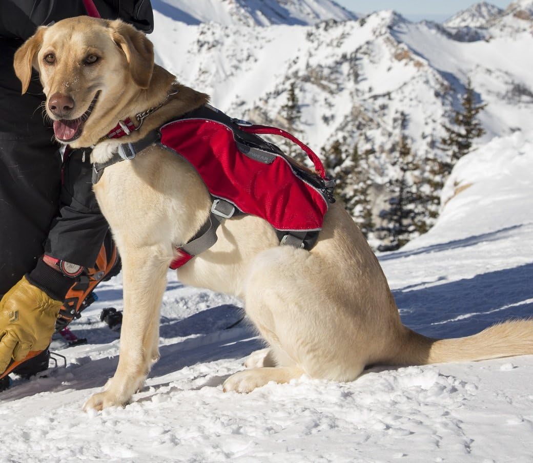 ruffwear web master pro harness