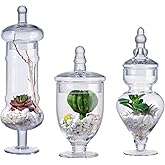 Stella Baicø Set of 3 Glass Apothecary Jars, Clear Candy Jars for Candy Buffet, Glass Canister with Lids, Glass Jars for Deco