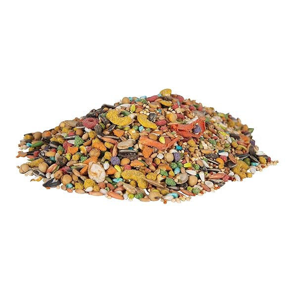 WILD HARVEST WH-83541 WILD HARVEST ADVANCED NUTRITION DIET FOR COCKATIELS, 4.5-POUND