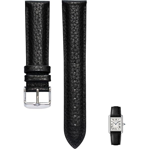 Amazon.com: Ewatchparts 19MM LEATHER WATCH STRAP BAND COMPATIBLE