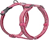 Embark Illuminate Reflective Dog Harness – Easy