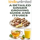 A Detailed Ginger Growing Guide and Its Uses (A Detailed, Informative Series on Homesteading)