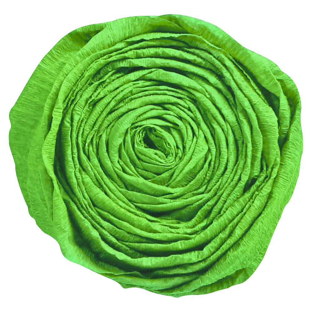 Clairefontaine 901050C - Pack of 10 Sheets of Crepe Paper - Colour Empire Green - Format 2x0,50m - Crepe 40% - Creative leisure Adults Children Arts Crafts