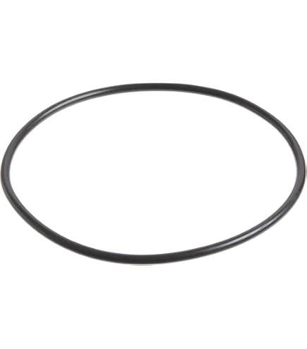 Pentek 143216 Buna-N O-Ring for ST Series Housings: Replacement