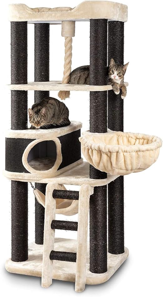 Canadiancat Company Hamilton Arbre A Chat Xxl Beige Amazon Fr Animalerie