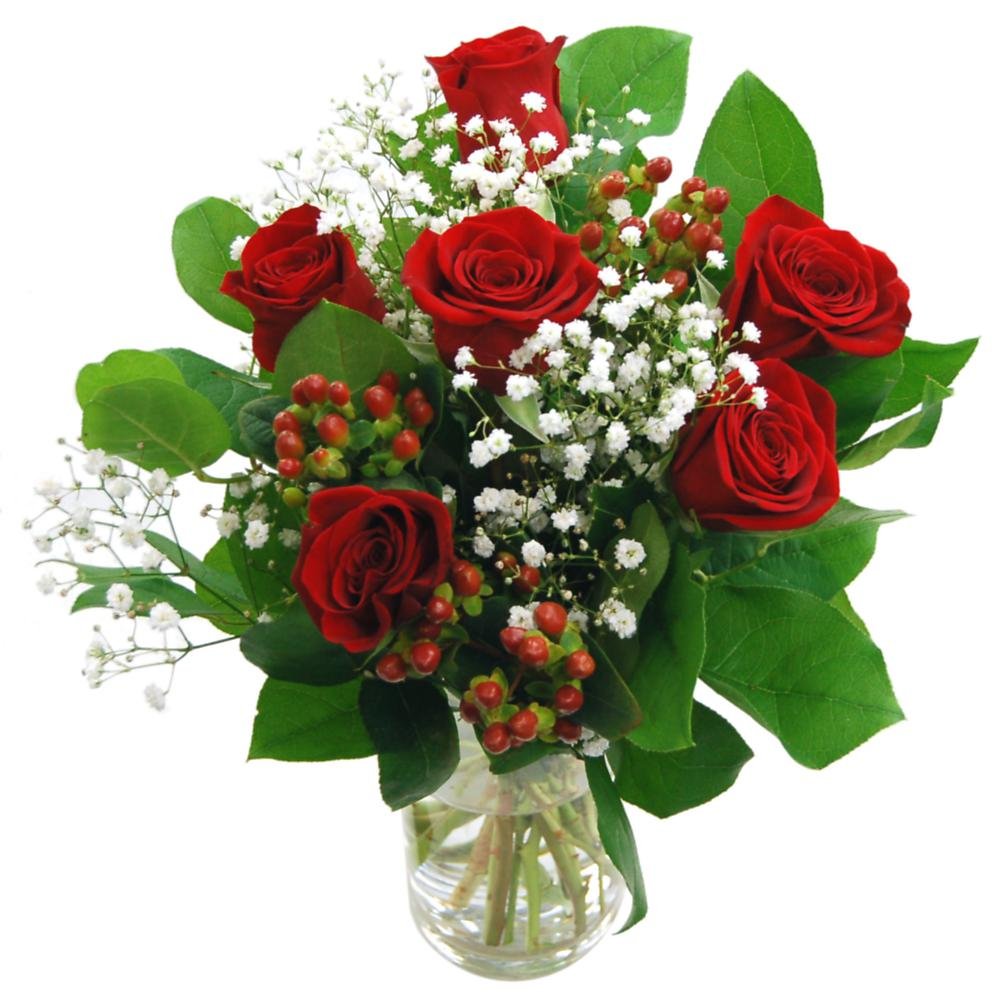 Clare Florist Heartfelt 6 Red Roses Fresh Flowers Bouquet - 6 Gorgeous High Grade Fresh Roses for Special Occasions