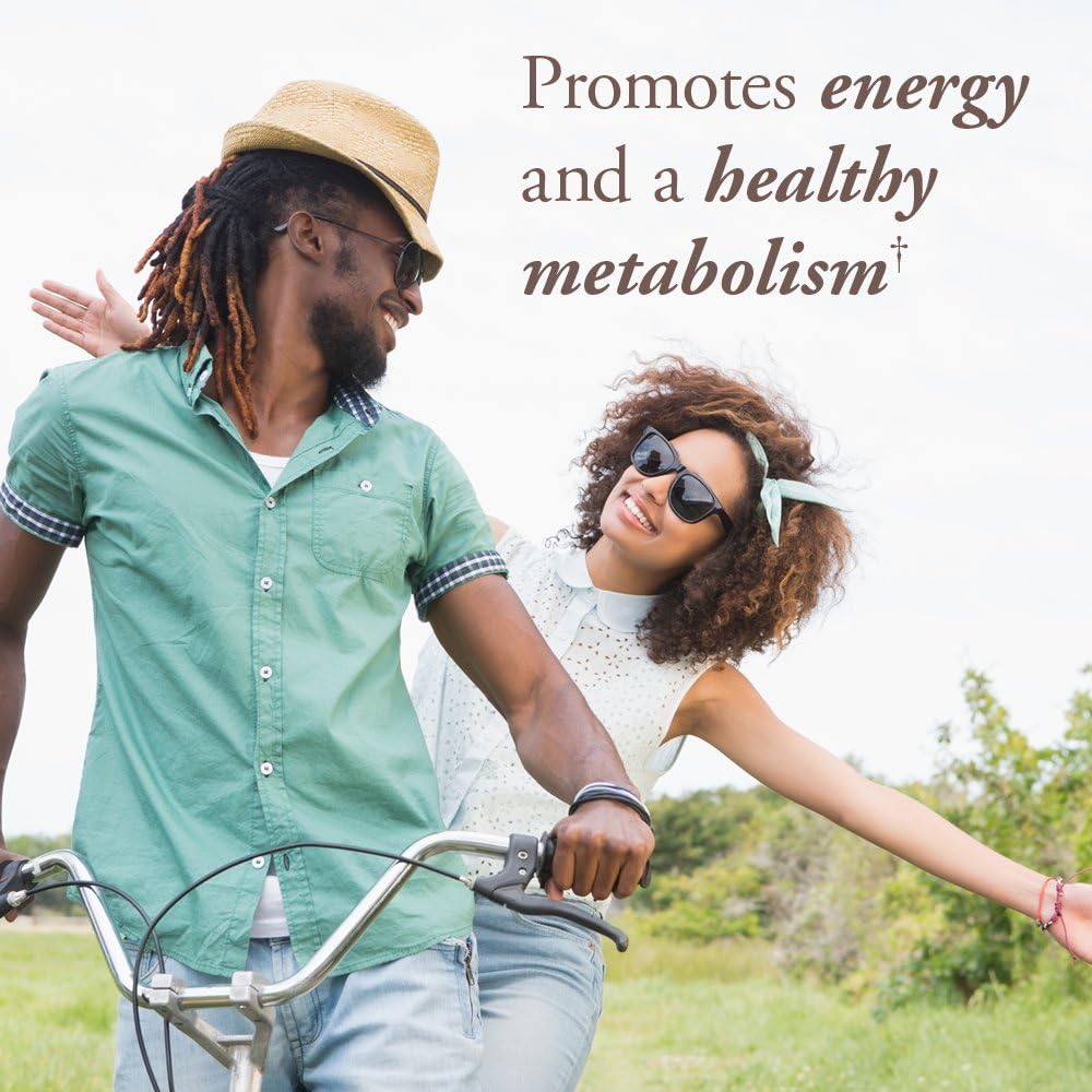Garden of Life Mykind Organics Vitamin B Complex Once Daily, 30 Tablets, Vegan B Complex Vitamins With Folate, B12, Niacin, B6, Biotin, Organic Whole Food B Complex Supplement For Metabolism, Energy: Health & Personal Care