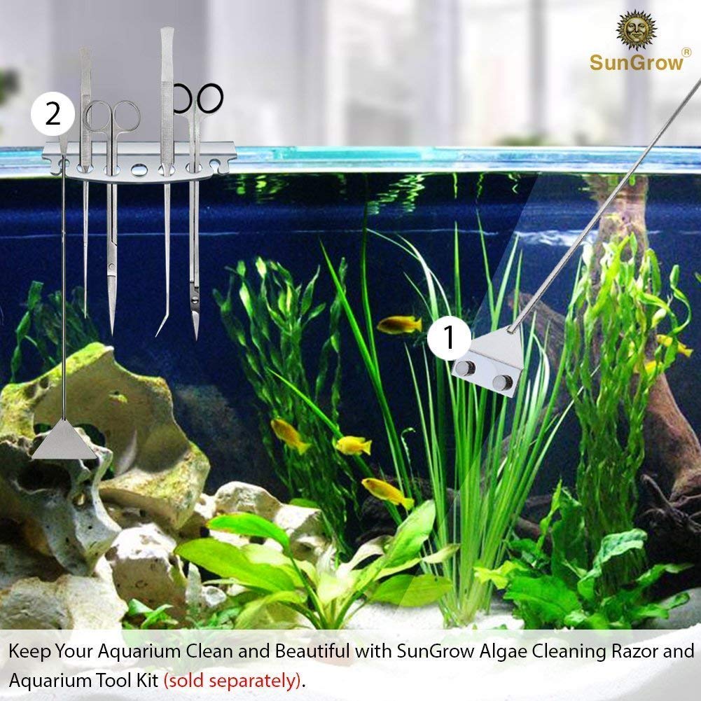 Aquarium Algae Cleaning Razor -- Keep hands dry & contamination-free - Stainless steel design ensures corrosion resistance - 2 BONUS handles for extra length - Removable and replaceable blade