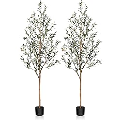 SOGUYI Artificial Olive Tree, 6FT Tall Faux Silk