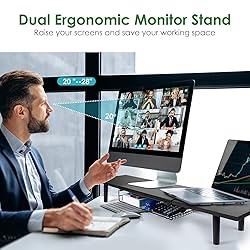 LOTEYIKE Dual Monitor Stand for 2 Monitors, Large