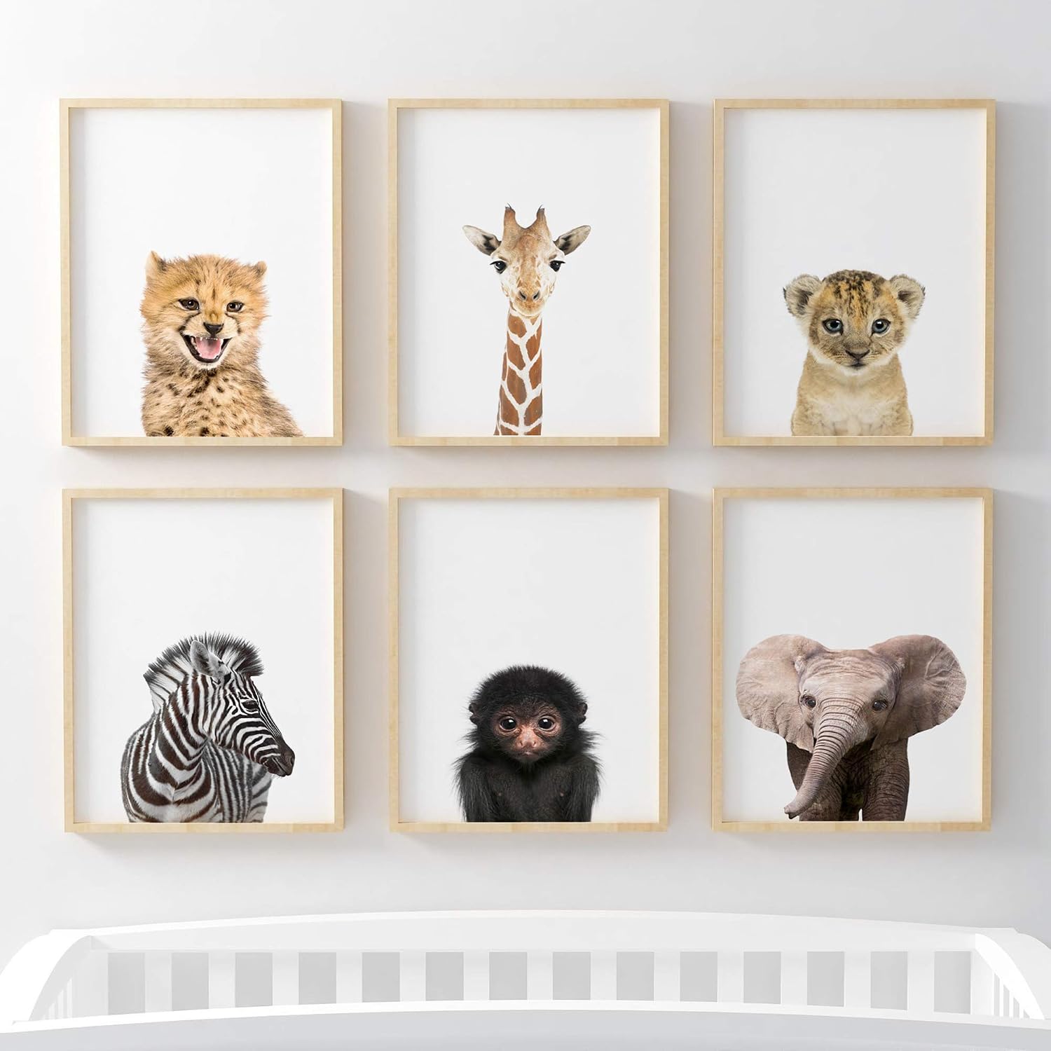 Jungle Safari Baby Animal Nursery Bedroom Wall Art Picture Prints, Set of 6, Elephant, Lion, Monkey, Giraffe, Cheetah