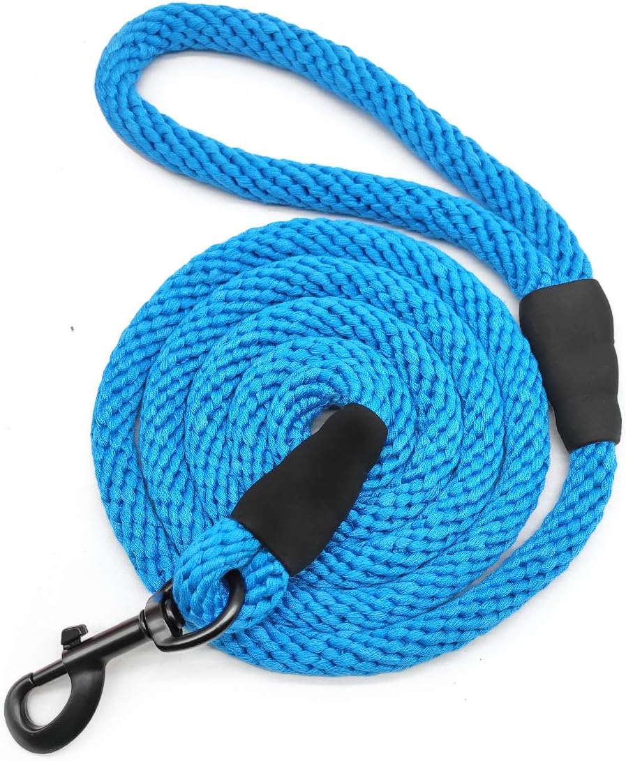 Dog Rope Lead And Collar at Aubrey Hanson blog