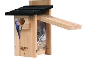 Nature's Way Bird Products CWH4 Cedar Bluebird Viewing House